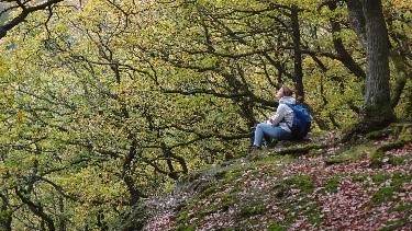 Waldbaden4Resilienz© - cult-touren