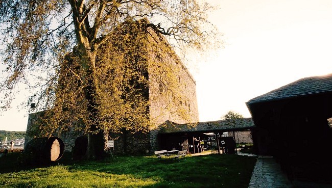Copyright: Brömserburg