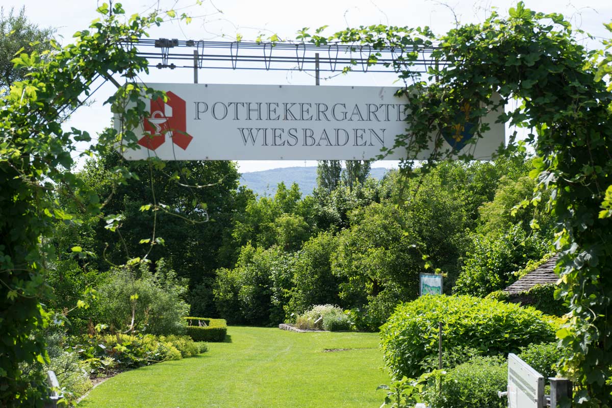 Quelle: https://www.apothekergarten-wiesbaden.de/garten/_dsc