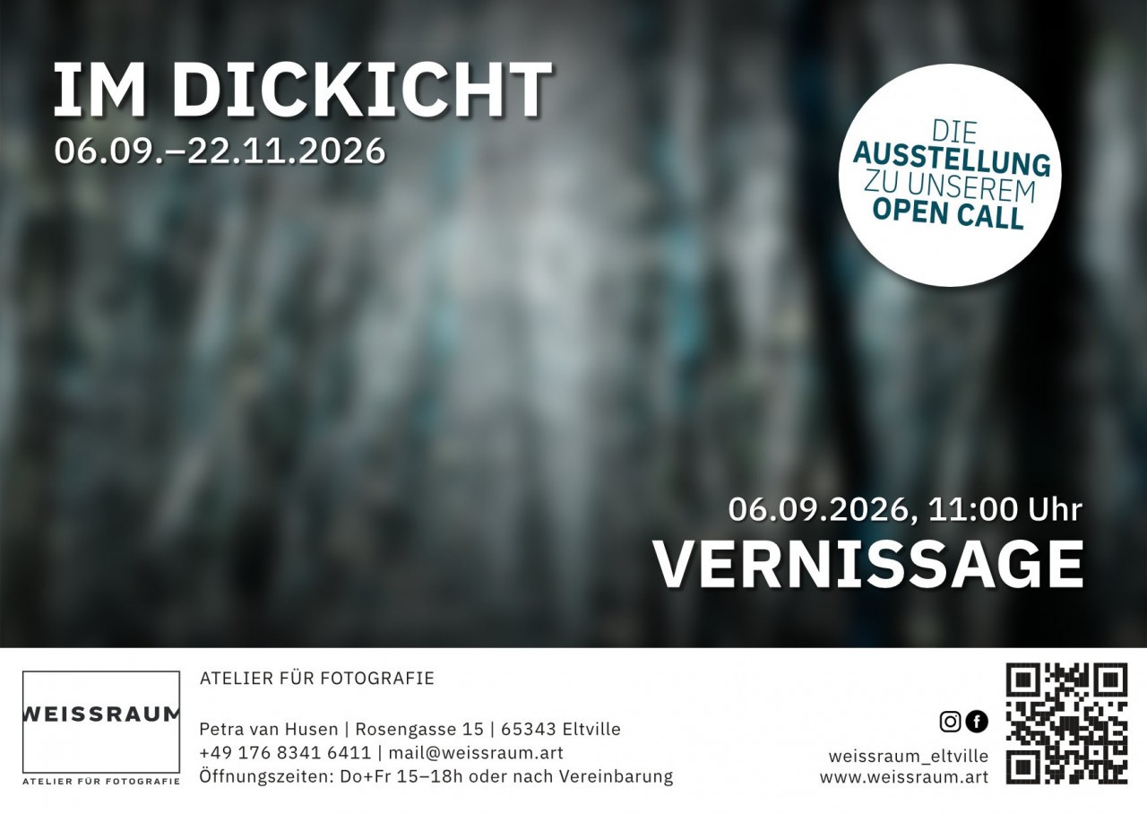 Informationen zur Ausstellung "Im Dickicht"