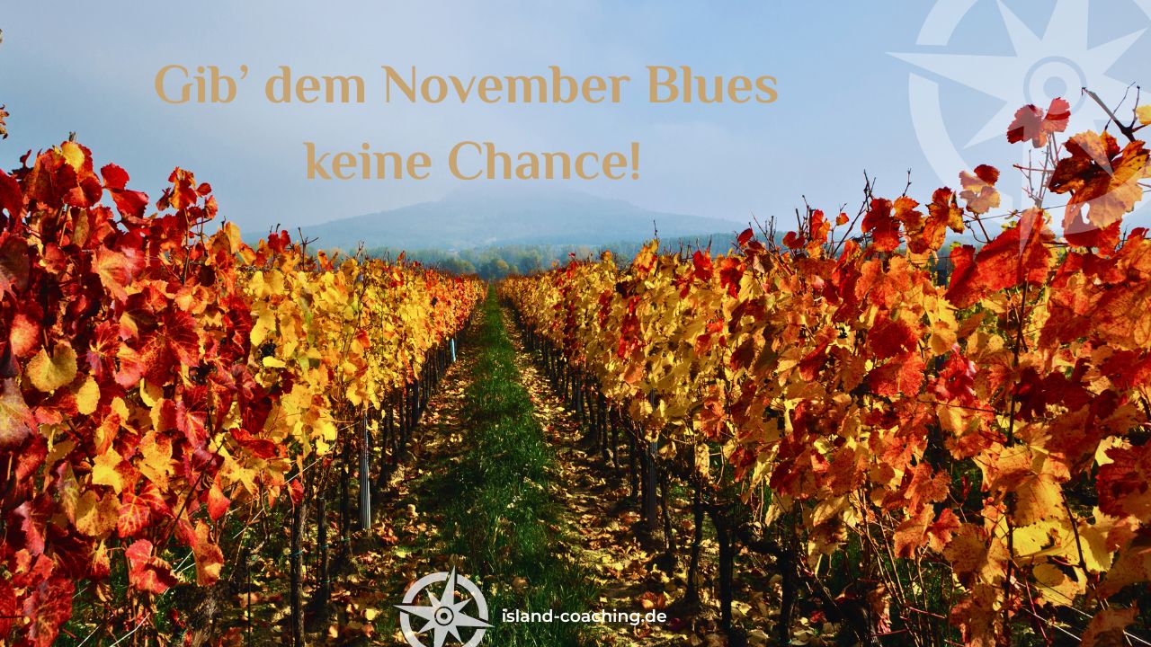 Achtsam im Weinberg – Oder: Die Kunst, den Moment zu genießen