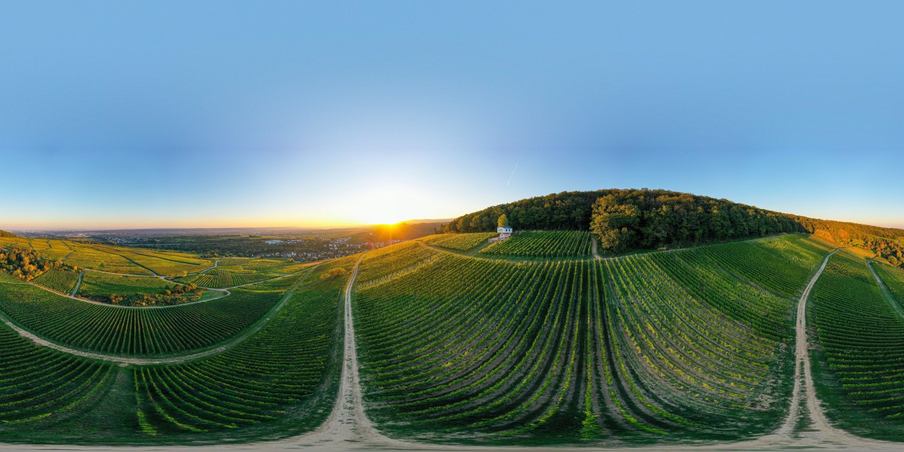 Weinbergshaus by Diefenhardt 360 Grad Panorama