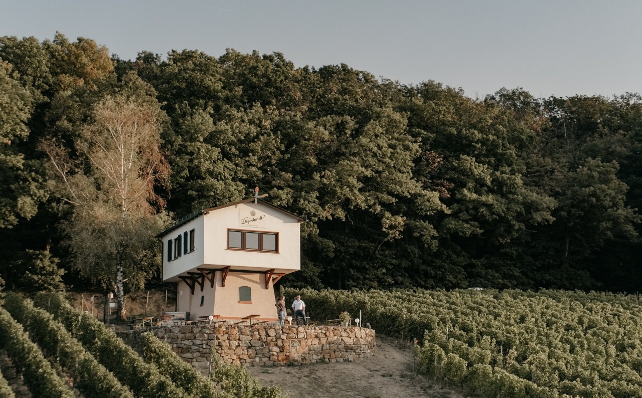 Weinbergshaus by Diefenhardt