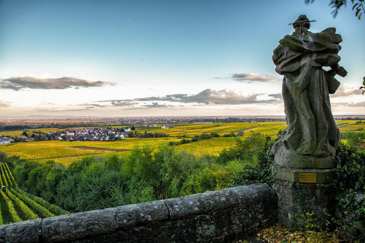 Weinort Deidesheim, Deutsches Weininstitut © www.deutscheweine.de