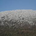 Naturschutzgebiet im Schnee