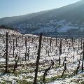 Winterliche Pfaffenwies