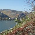 Blick auf Bacharach mit Burg Stahleck
