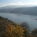 Rheinhöhenblick