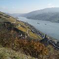Lorchhausen und Rheintal vom Aussichtspunkt Panoramablick