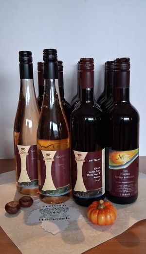 12er Paket *Rote Herbstfarben*