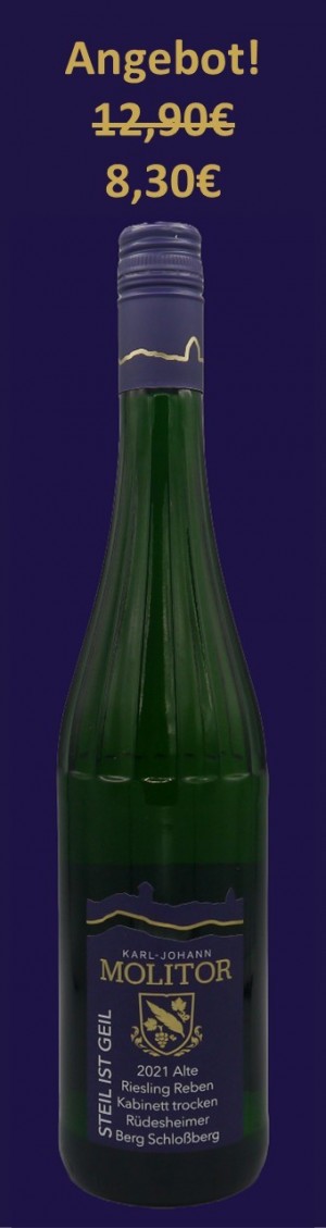 2021 Rüdesheimer Berg Schloßberg Riesling Kabinett alte Riesling Reben trocken