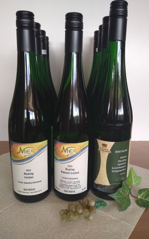 12er Paket Trockene Lieblinge