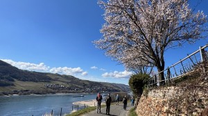 Osterwanderung am 05.04.2026