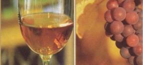 Weinseminar für Genießer am 07. März 2026